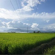 Maramag, Philippines