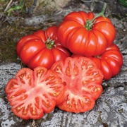 Costoluto Tomatoes