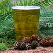 Spruce Beer