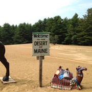 The Desert of Maine