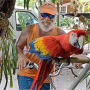 Nancy Forrester's Secret Garden