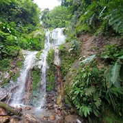 Tufton Hall Waterfall, Grenada