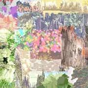 Every Flower in My Garden