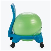 Balance Ball Chair