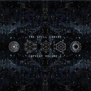 Robin Williams - The Spill Canvas