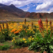 Castner Range, TX (Army)