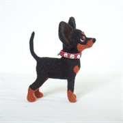Toy Manchester Terrier