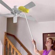 Dust Your Ceiling Fans/Lights