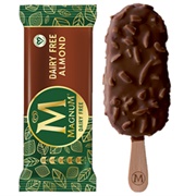 Vegan Magnum