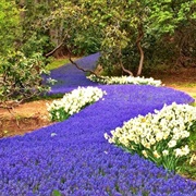 The Bulb River (Permanently Closed)