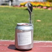 Creme Caramel Custard Pudding in a Can