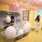 Pop-Up Museum