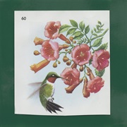 Circulatory System - Inside Views