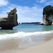Mares Leg Cove, Coromandel Peninsula