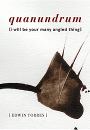 Quanundrum: [I Will Be Your Many Angled Thing] (Edwin Torres)
