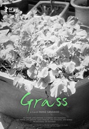 Grass (2019)