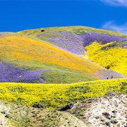 Carrizo Plain, CA (BLM)