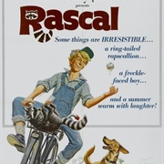 Rascal