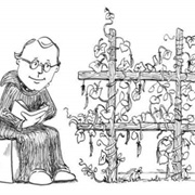 Botanist Hugo De Vries Rediscovers Mendel's Laws of Heredity.