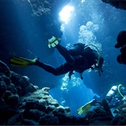 Learn to Scuba Dive