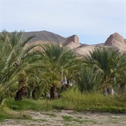 China Ranch Date Farm