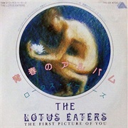 The First Picture of You - The Lotus Eaters
