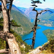 Bosnia & Herzagovina