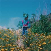 Catarsi Aiwa Maxibon (Pufuleti, 2020)