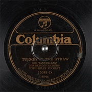 Turkey in the Straw - 	Gid Tanner and His Skillet Lickers With Riley Puckett