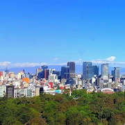 San Luis Potosí City