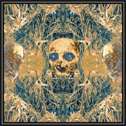 Kostnatění - Úpal