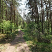 Diedersdorfer Heide Und Großbeerener Graben