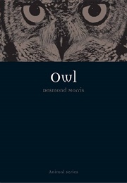 Owl (Desmond Morris)