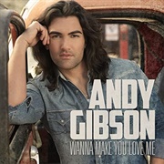 Wanna Make You Love Me- Andy Gibson