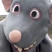 You Idiot You've Fallen for the Rap Trap