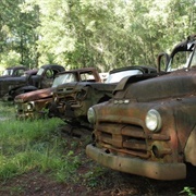 Harvey's Ford Truck Collection