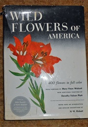 Wild Flowers of America: 400 Flowers (Mary Vaux Walcott)