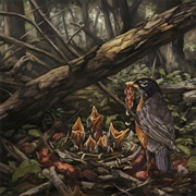 The Acacia Strain - Step Into the Light