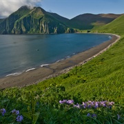 Peter Bay, Kamchatka, Russia