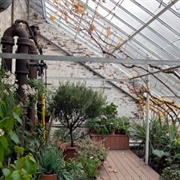 Lyman Estate Greenhouses