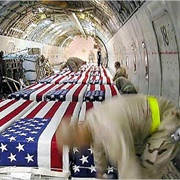 The Coffin Ban (2004)