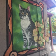 Room 8 the Cat Mural