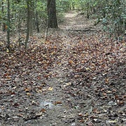 St. Mary's River State Park, Maryland