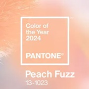 Pantone Color of the Year 2024: Peach Fuzz