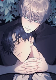 A Tree Without Roots (LAPO)