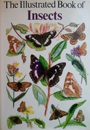 The Illustrated Book of Insects (John Burton)