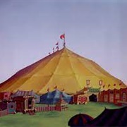 Circus