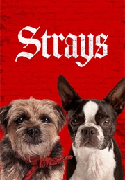 Strays (2023)