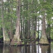 Captain John Smith Chesapeake National Historic Trail