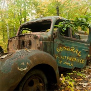 Becket Land Trust Historic Quarry and Forest